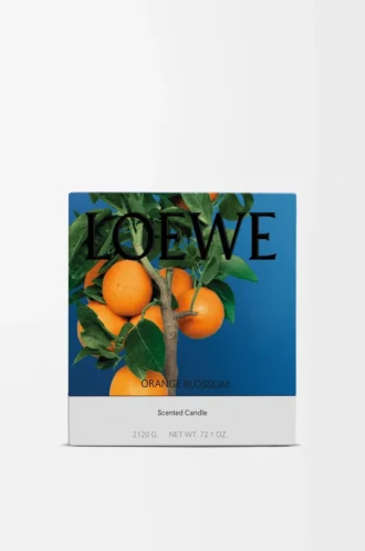 Große Kerze mit Orangenblütenduft Helle Mandarine